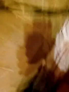 Apeesynka55211 online show from March 11, 2026, 8:59 pm