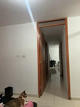 violeticafox online show from December 21, 2025, 3:46 am