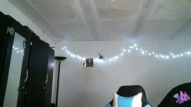 Dickie Dicking online show from March 17, 2026, 7:28 pm