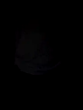 Curious9884 online show from October 4, 2025, 1:31 pm