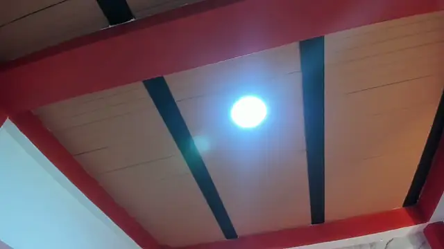 Stefany Andruw online show from November 4, 2025, 1:10 pm