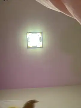 taotaobo online show from December 15, 2025, 2:21 pm