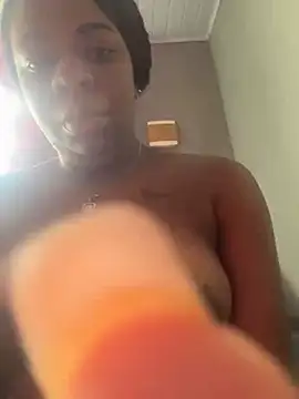 Priihmedeiros online show from November 19, 2025, 10:59 am