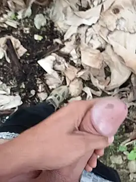 Sikici0734 online show from October 6, 2025, 4:43 am