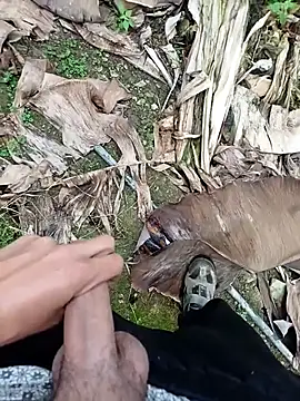 Sikici0734 online show from November 13, 2025, 9:19 am