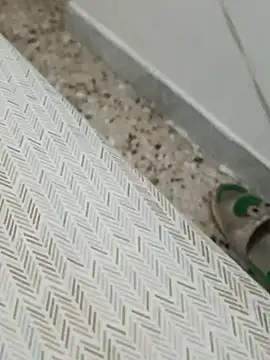 Snapshot of Lucastra98 chatting on November 5, 2025, 8:14 am Lucastra98 online show from November 5, 2025, 8:14 am