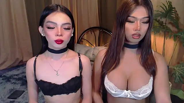 TWINKTRANSSHANEL online show from October 6, 2025, 4:21 am