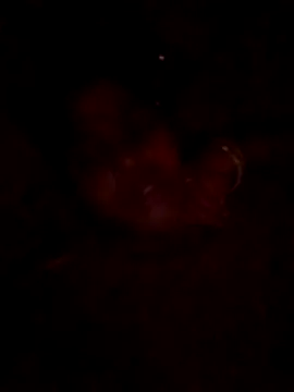 Tg sonam online show from October 23, 2025, 4:17 pm