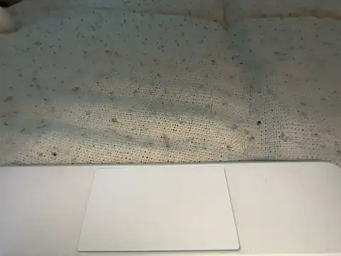 goddesemiiyy online show from November 18, 2025, 6:34 pm