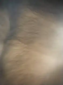 Snapshot of SL_BEAR chatting on December 4, 2025, 1:48 am SL BEAR online show from December 4, 2025, 1:48 am