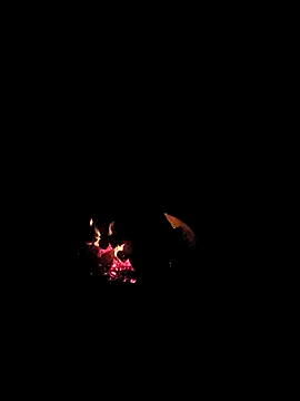 Floridaboy863 online show from February 5, 2026, 3:33 am