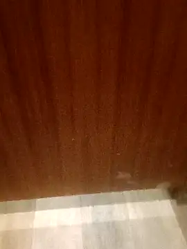 leeya14 online show from October 11, 2025, 4:12 am