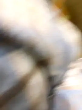 Snapshot of _xiaoniaojiang chatting on October 15, 2025, 10:37 am  xiaoniaojiang online show from October 15, 2025, 10:37 am