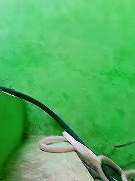 Karishma cute online show from November 29, 2025, 4:48 am