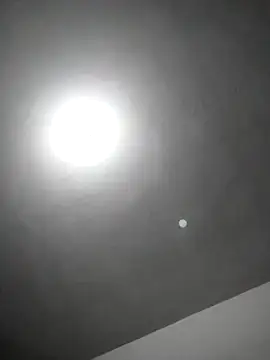 Snapshot of checheludo23 chatting on February 25, 2026, 12:20 am checheludo23 online show from February 25, 2026, 12:20 am