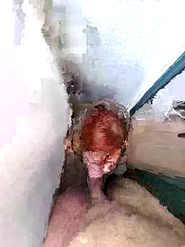 PorcelainDoll1 online show from January 14, 2026, 11:38 am