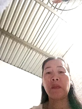 tabby-cat11 online show from November 3, 2025, 1:51 am