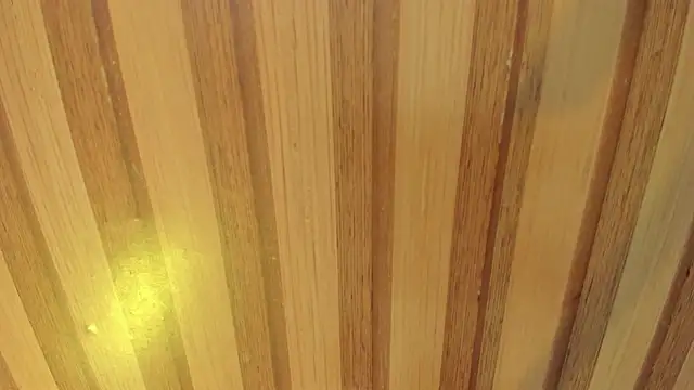 mia  blaze   online show from April 8, 2026, 2:55 am