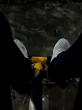 roludao fun online show from December 19, 2025, 10:17 pm