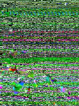 Snapshot of Dev2k22 chatting on December 17, 2025, 6:14 pm Dev2k22 online show from December 17, 2025, 6:14 pm