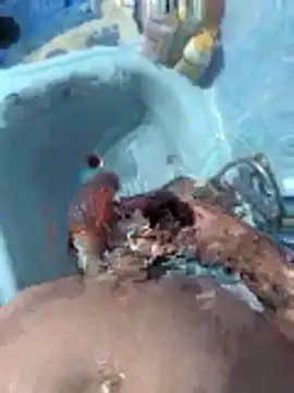 Miguelitros online show from April 27, 2026, 4:27 pm