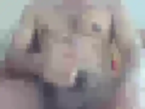 nick2445 online show from April 18, 2026, 9:24 am