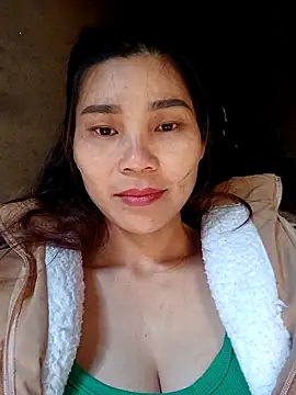 Bear bear0 online show from November 26, 2025, 3:29 am