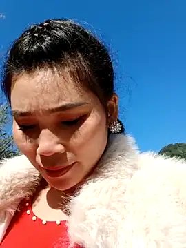 Bear bear0 online show from November 29, 2025, 2:14 am