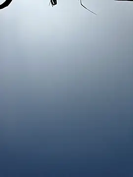 Menu x online show from January 13, 2026, 8:08 am