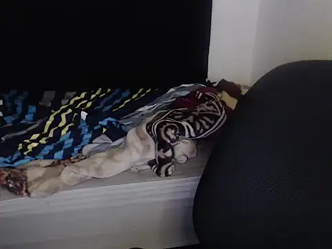 Negritatata online show from November 28, 2025, 11:13 am