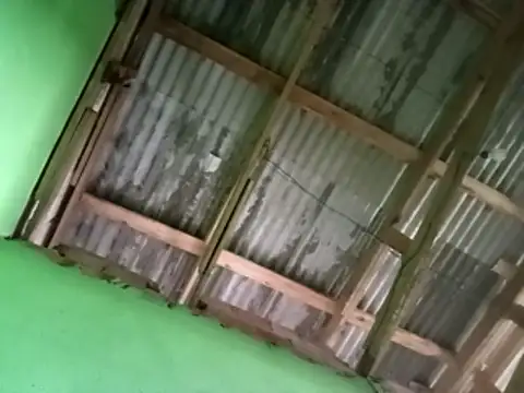 juniordotado87 online show from January 10, 2026, 11:45 am