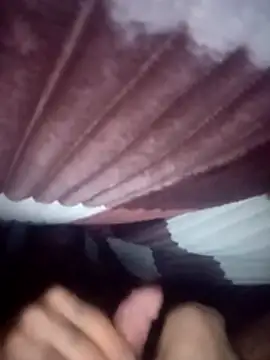 Godsitopro online show from November 19, 2025, 8:47 am