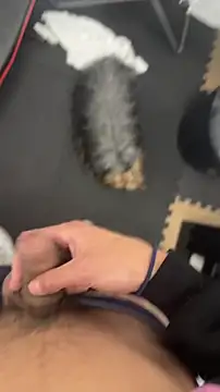 findomhot online show from November 5, 2025, 9:04 pm