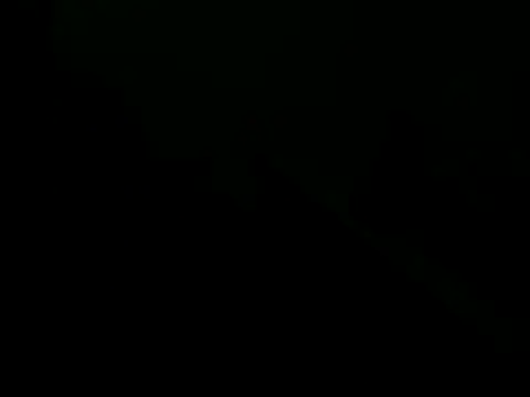 giovanift111 online show from October 29, 2025, 11:17 pm