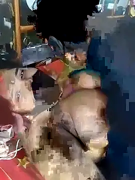 hot couple 000 online show from January 16, 2026, 3:05 pm