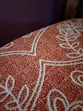 Laal Parilove online show from November 16, 2025, 8:31 am