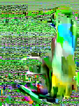 Snapshot of cchairez1188 chatting on October 29, 2025, 9:38 pm cchairez1188 online show from October 29, 2025, 9:38 pm