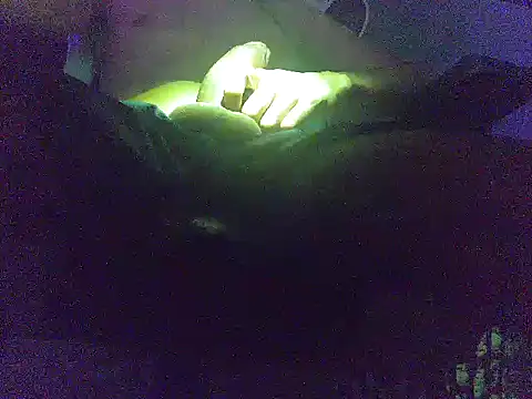 Snapshot of analice32456 chatting on March 3, 2026, 6:52 am analice32456 online show from March 3, 2026, 6:52 am