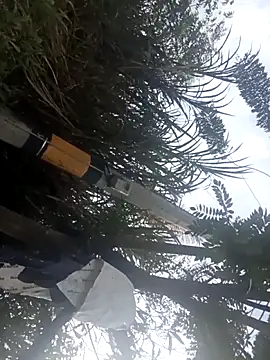 Snapshot of Camila-Valverde chatting on January 31, 2026, 8:51 pm Camila-Valverde online show from January 31, 2026, 8:51 pm