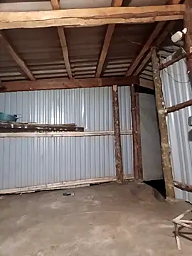 matbiec- online show from December 19, 2025, 11:50 am