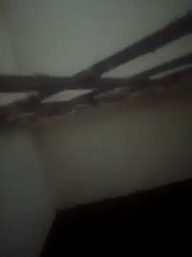 Pallu Asha online show from April 28, 2026, 3:50 pm