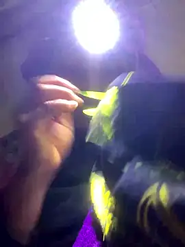 bi-bo123 online show from January 11, 2026, 2:22 pm