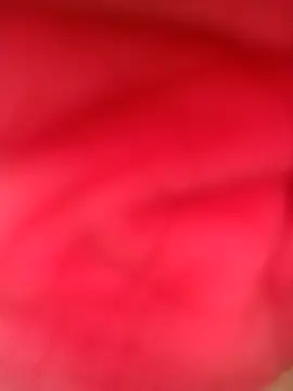 Snapshot of mcaai chatting on October 30, 2025, 11:00 am mcaai online show from October 30, 2025, 11:00 am