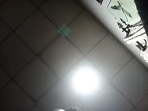 DK 9396 online show from November 17, 2025, 12:00 pm