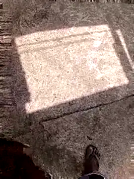 DK 9396 online show from February 16, 2026, 8:43 am