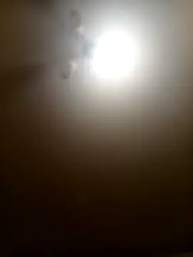 Niesmialyy online show from February 16, 2026, 8:16 pm