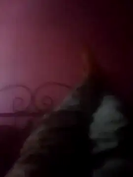 Narwindruners online show from November 3, 2025, 6:53 pm