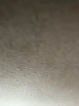 Snapshot of adamblunt59 chatting on January 8, 2026, 9:33 am adamblunt59 online show from January 8, 2026, 9:33 am