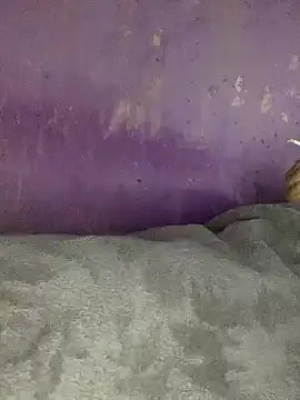 hotman29 online show from November 26, 2025, 11:06 pm