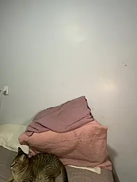 lele inocente online show from March 11, 2026, 12:16 am